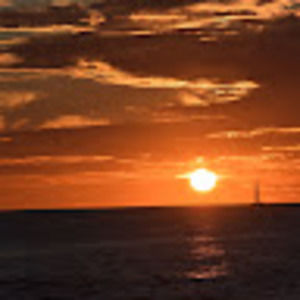 Meet your Posher, Tamara